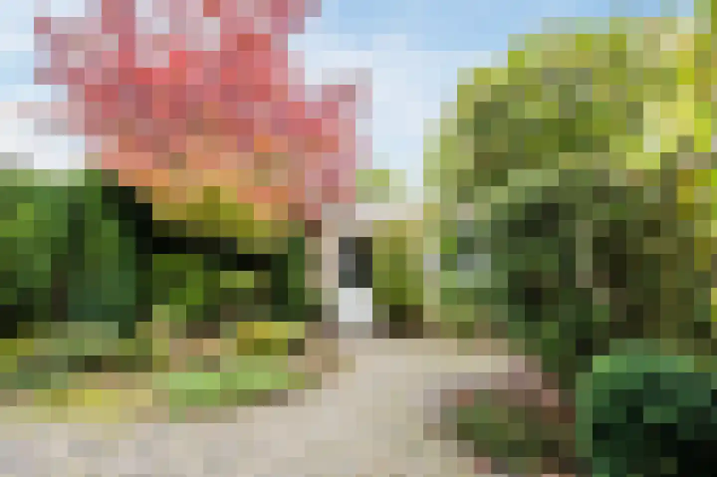Torenberglaan 16 Eindhoven thumbnail 53