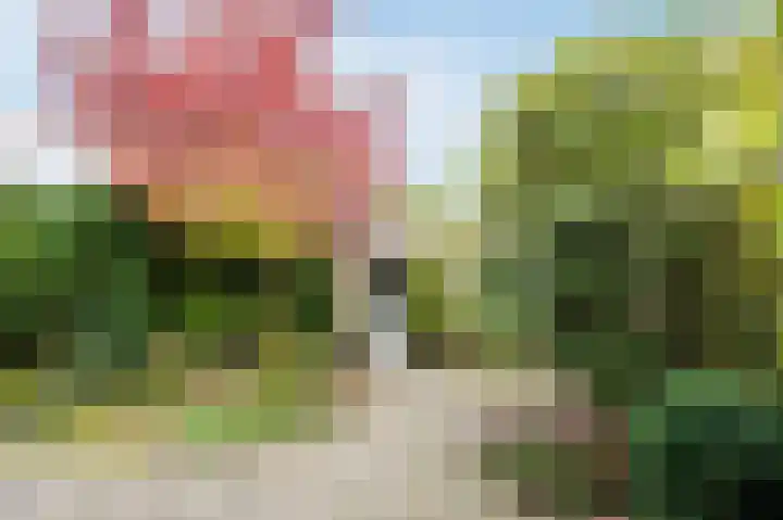Torenberglaan 16 Eindhoven thumbnail 53
