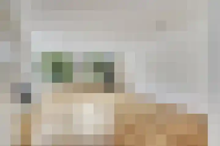 Torenbes 5 Leiden thumbnail 10