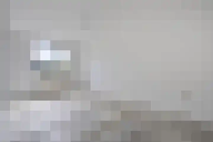 Torenbes 5 Leiden thumbnail 11