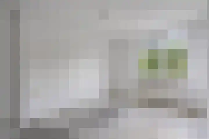 Torenbes 5 Leiden thumbnail 12