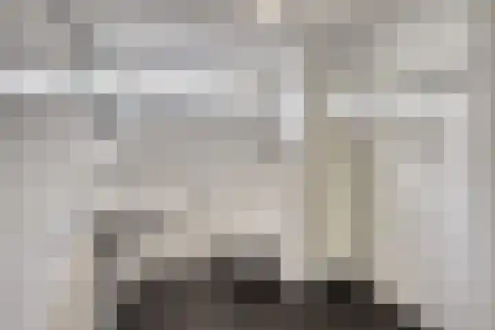 Torenbes 5 Leiden thumbnail 14