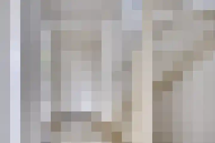 Torenbes 5 Leiden thumbnail 16