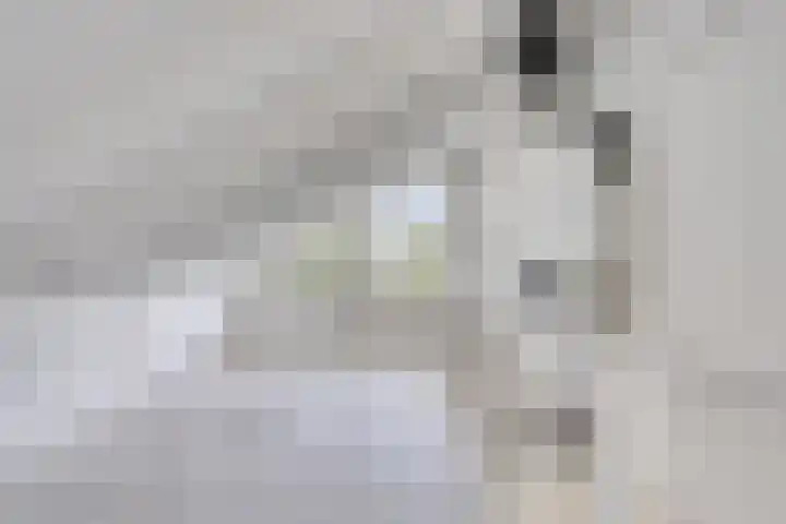 Torenbes 5 Leiden thumbnail 17