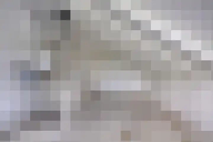 Torenbes 5 Leiden thumbnail 18