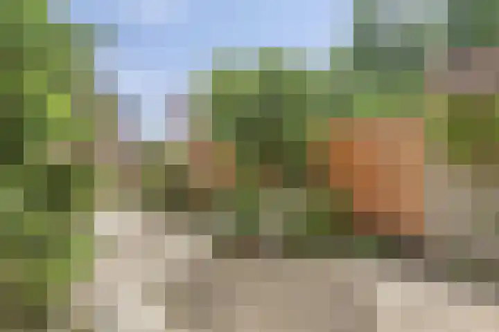 Torenbes 5 Leiden thumbnail 23