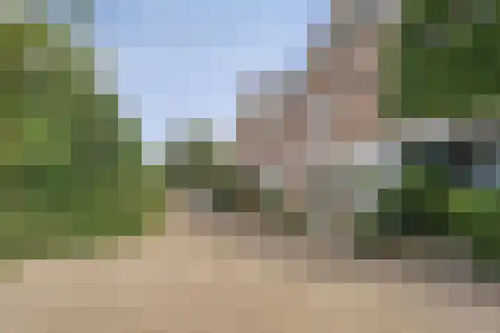 Torenbes 5 Leiden thumbnail 26
