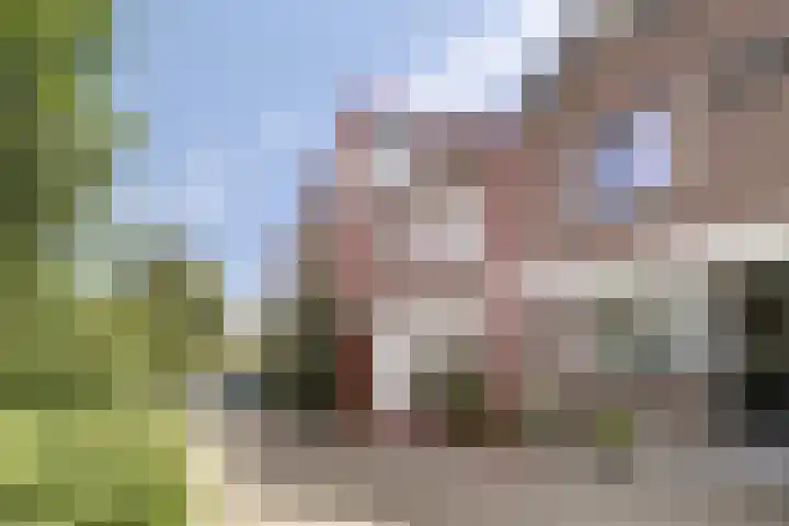 Torenbes 5 Leiden thumbnail 32