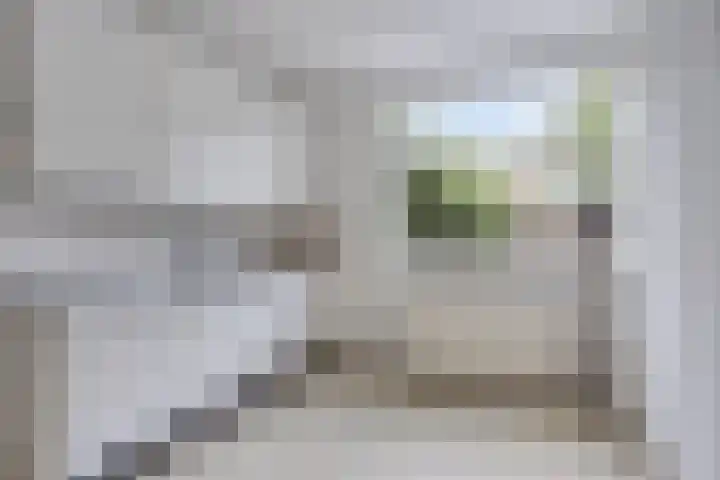 Torenbes 5 Leiden thumbnail 7