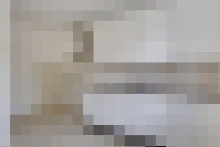 Torenbes 5 Leiden thumbnail 8