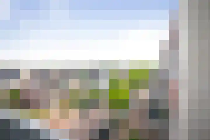 Torenbosch 56 Twello thumbnail 10