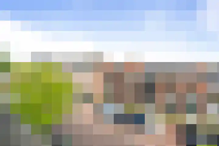 Torenbosch 56 Twello thumbnail 21