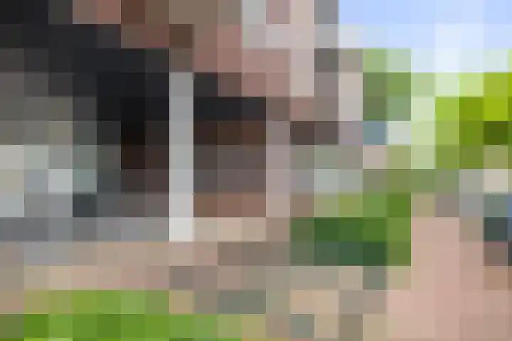 Torenbosch 56 Twello thumbnail 30