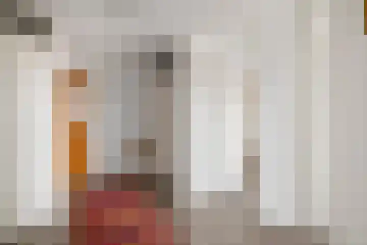 Torenbosch 56 Twello thumbnail 4
