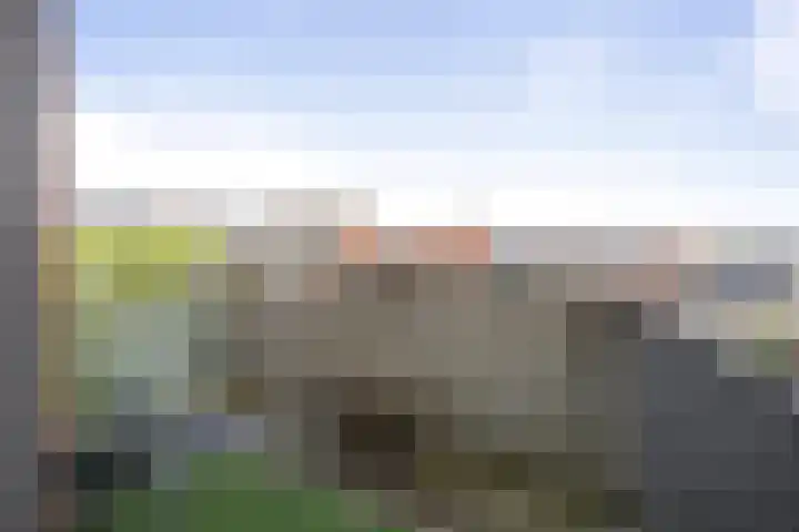 Torenbosch 56 Twello thumbnail 8