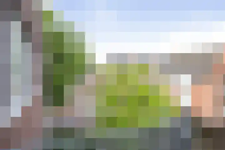 Torenbosch 56 Twello thumbnail 9