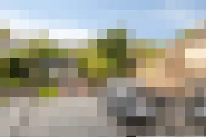Torenburgplein 5 Heerhugowaard thumbnail 39