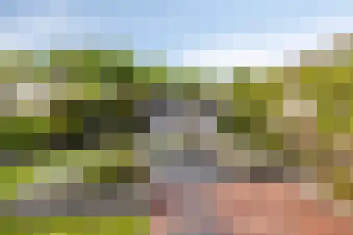 Torenburgplein 5 Heerhugowaard thumbnail 41