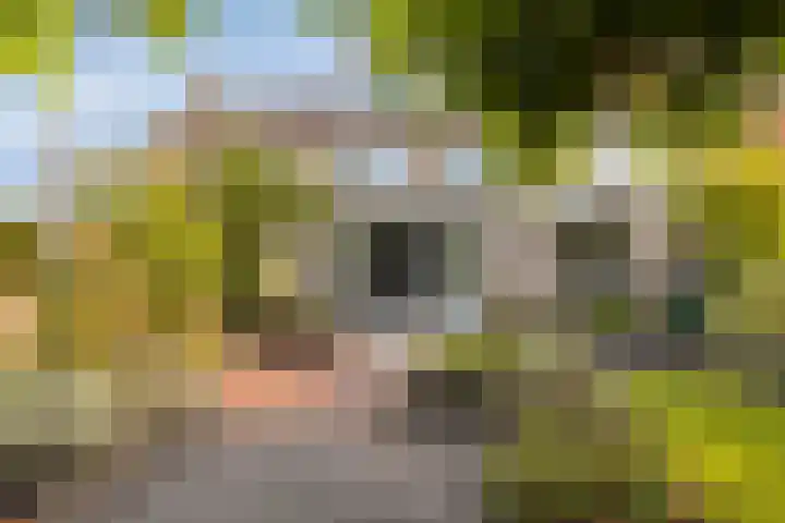 Torenburgplein 5 Heerhugowaard thumbnail 45