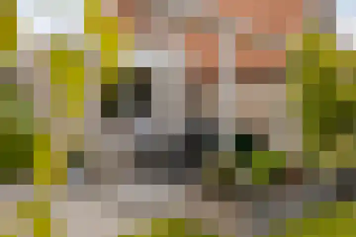 Torenburgplein 5 Heerhugowaard thumbnail 47