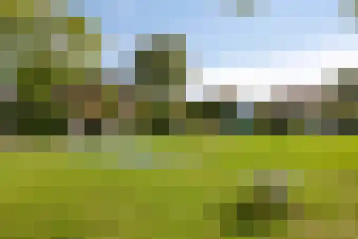 Torenburgplein 5 Heerhugowaard thumbnail 49
