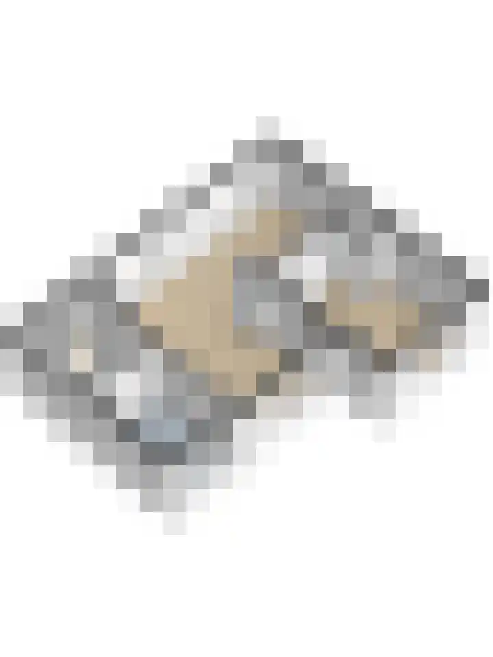 Torendijk 102 a Kortgene thumbnail 43