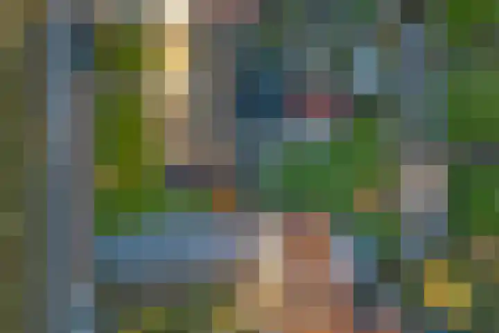 Torendijk 102 Kortgene thumbnail 34
