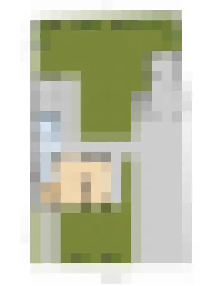 Torendijk 102 Kortgene thumbnail 41