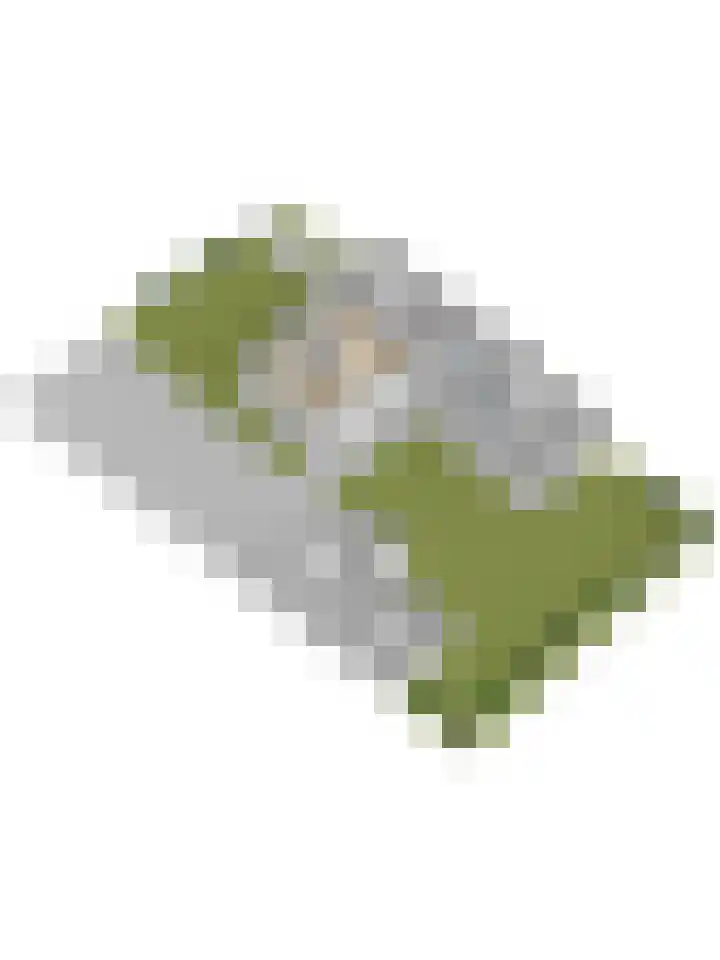 Torendijk 102 Kortgene thumbnail 46