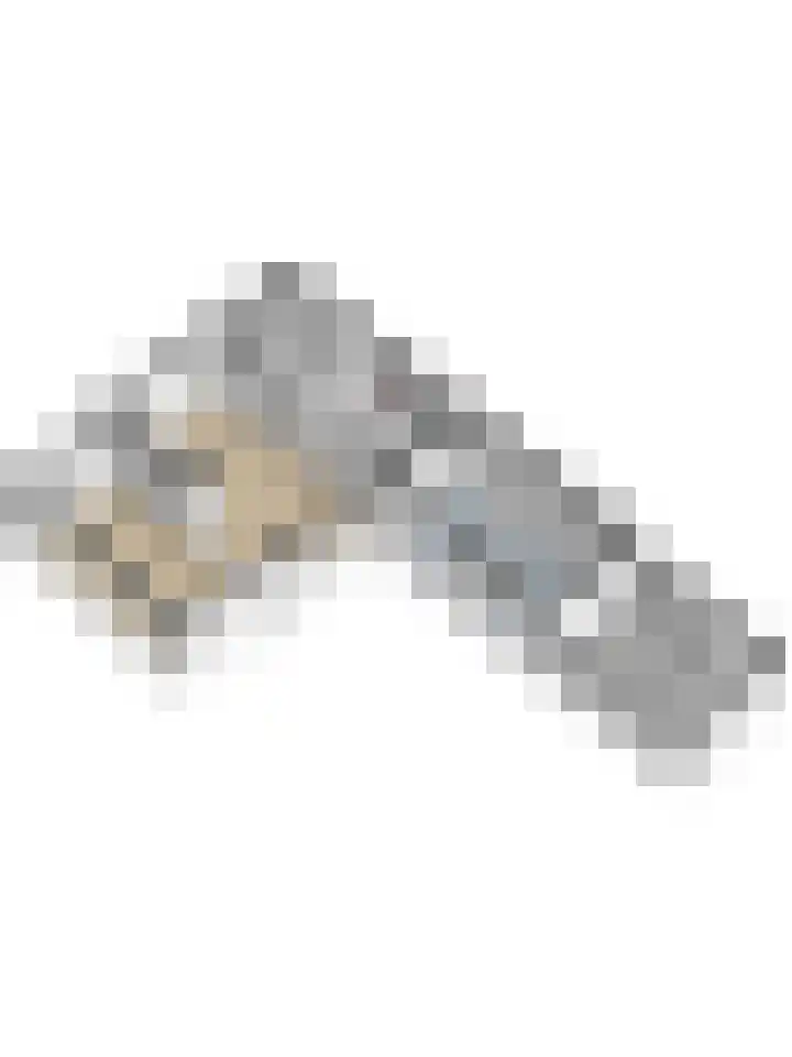 Torendijk 102 Kortgene thumbnail 47