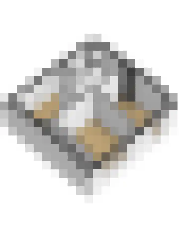 Torendijk 102 Kortgene thumbnail 48