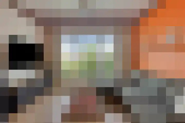 Torendreef 15 Bladel thumbnail 10