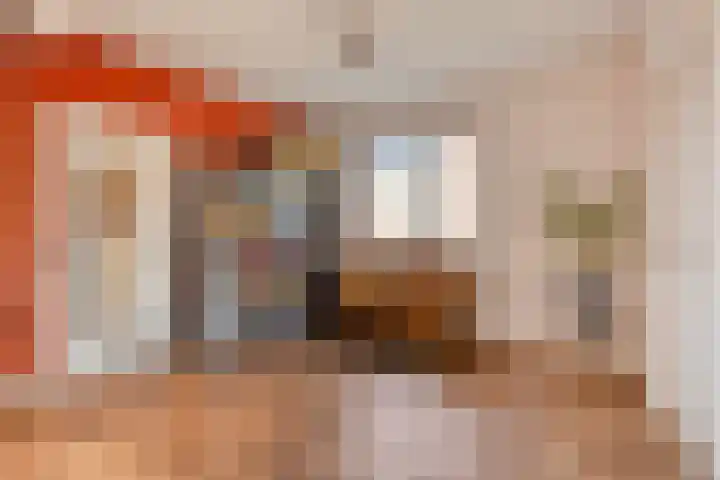 Torendreef 15 Bladel thumbnail 16