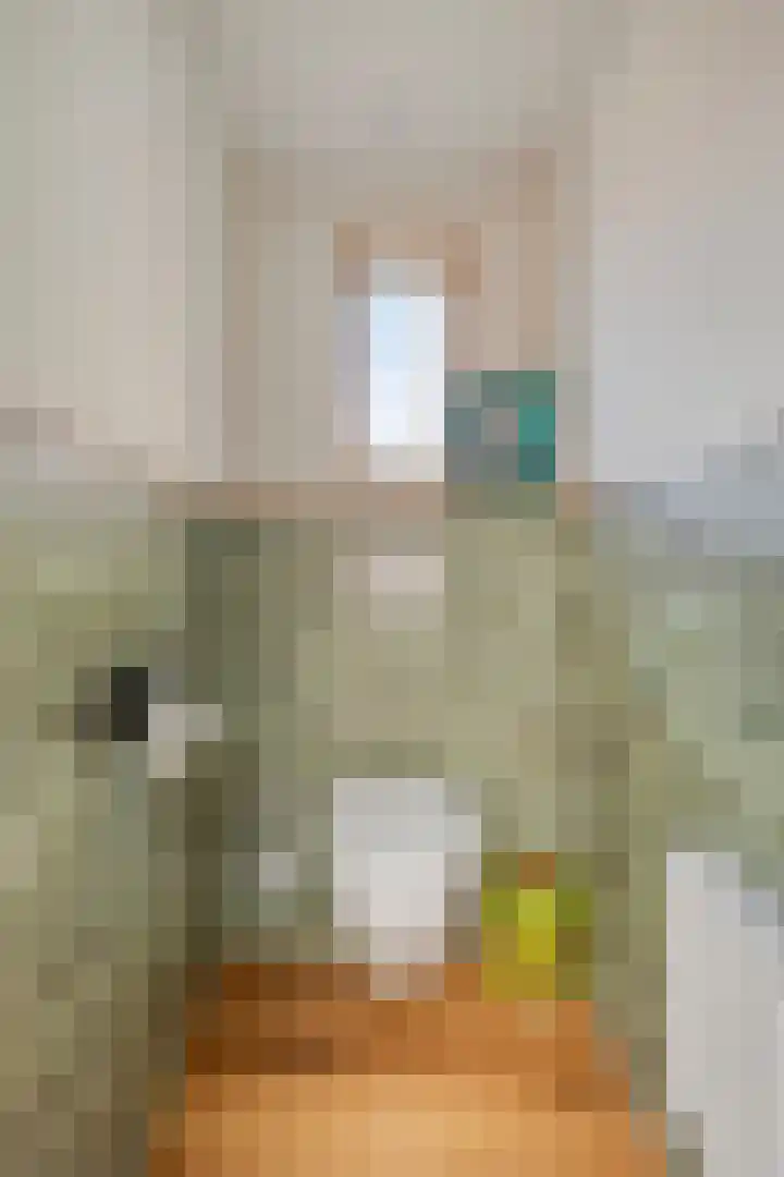 Torendreef 15 Bladel thumbnail 21