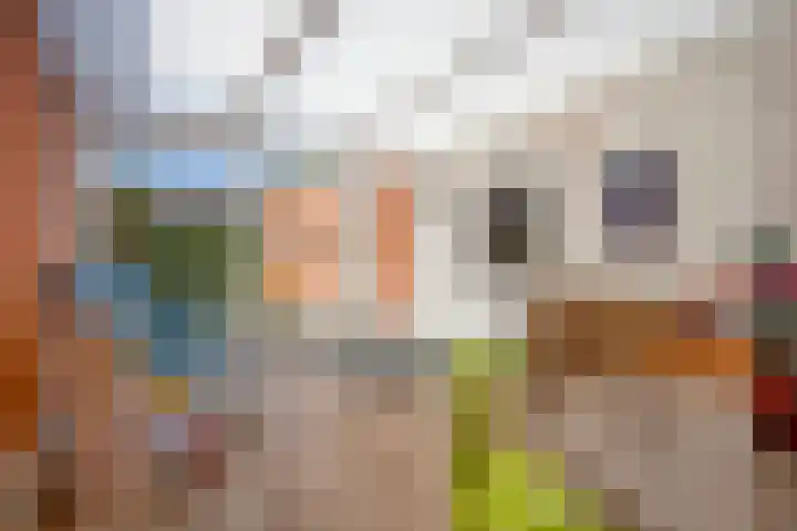 Torendreef 15 Bladel thumbnail 22