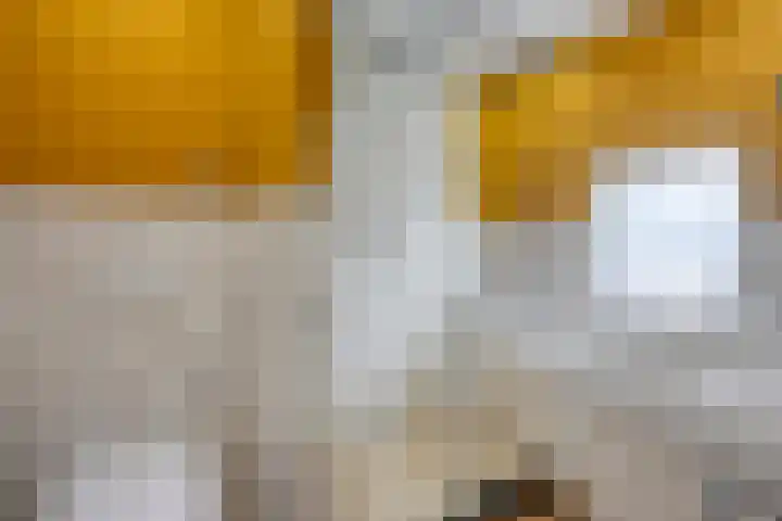 Torendreef 15 Bladel thumbnail 34