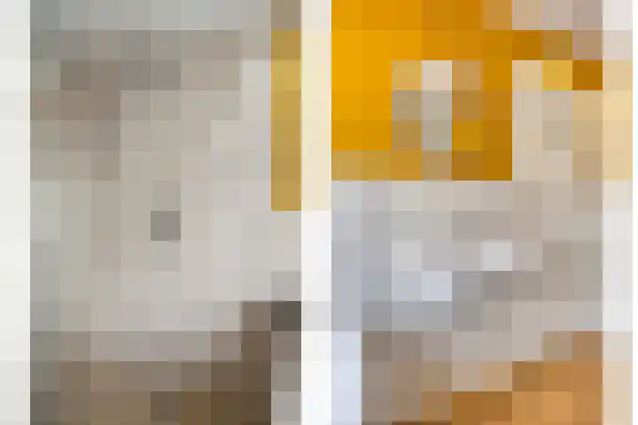 Torendreef 15 Bladel thumbnail 35