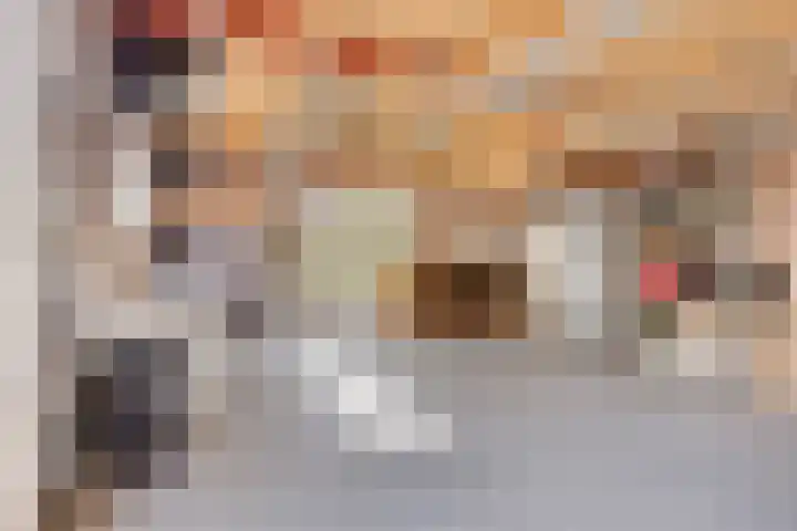 Torendreef 15 Bladel thumbnail 39
