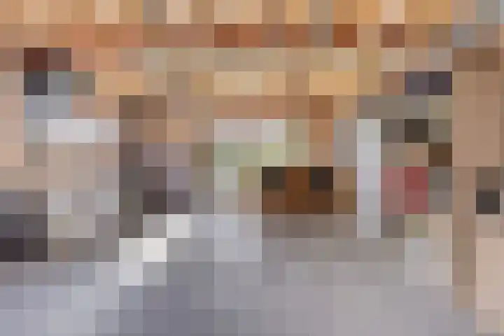 Torendreef 15 Bladel thumbnail 40