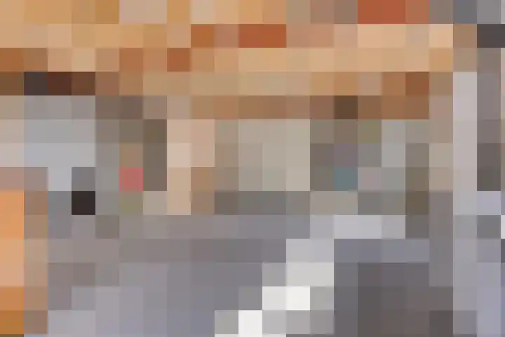 Torendreef 15 Bladel thumbnail 41