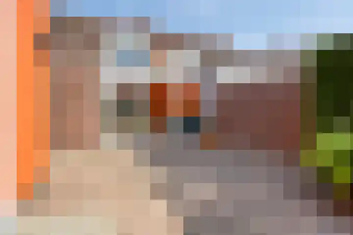 Torendreef 15 Bladel thumbnail 42