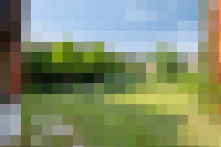 Torendreef 15 Bladel thumbnail 45