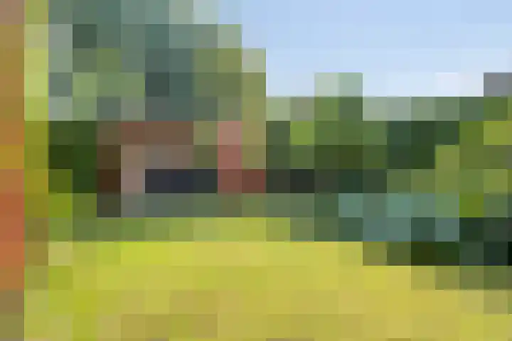 Torendreef 15 Bladel thumbnail 46