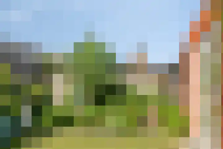 Torendreef 15 Bladel thumbnail 49