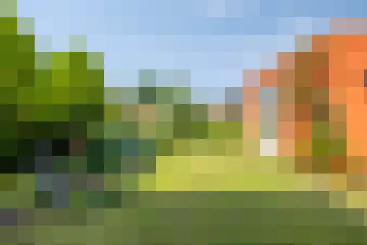 Torendreef 15 Bladel thumbnail 50