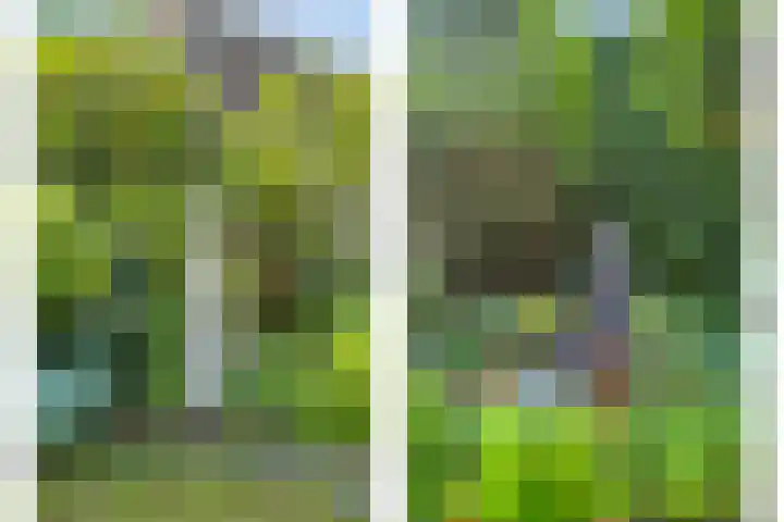 Torendreef 15 Bladel thumbnail 51