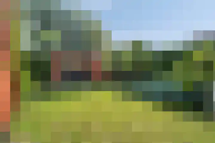 Torendreef 15 Bladel thumbnail 52