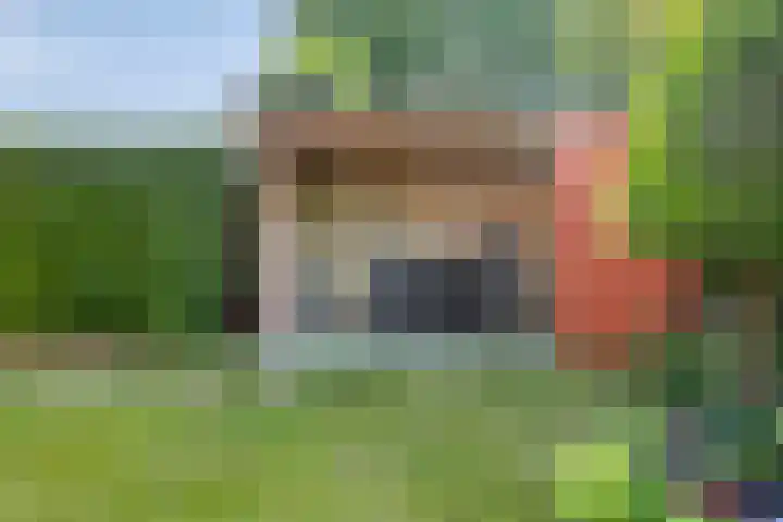 Torendreef 15 Bladel thumbnail 53