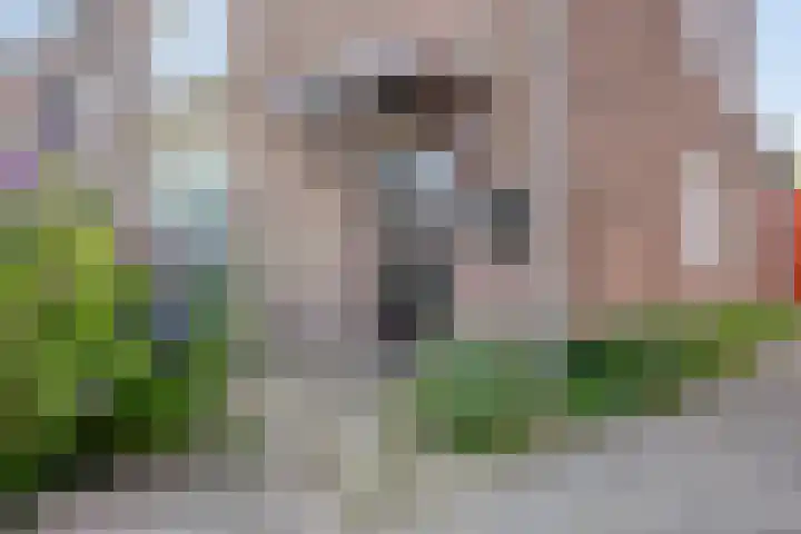 Torendreef 15 Bladel thumbnail 6