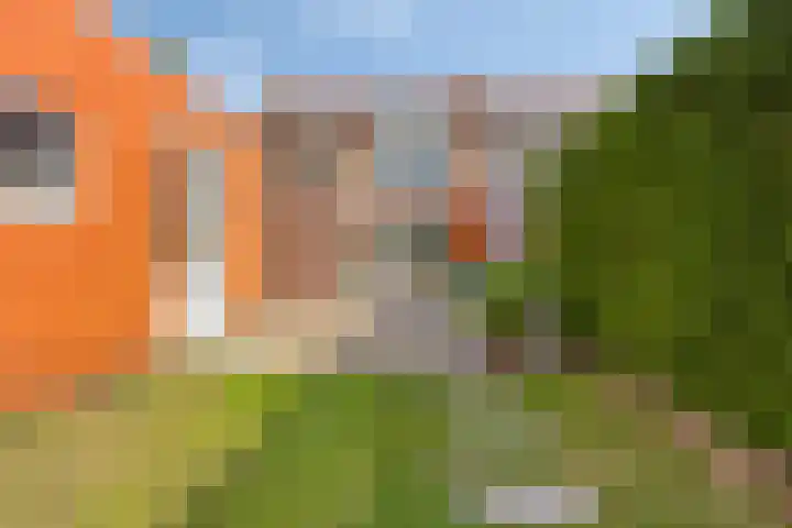 Torendreef 15 Bladel thumbnail 60